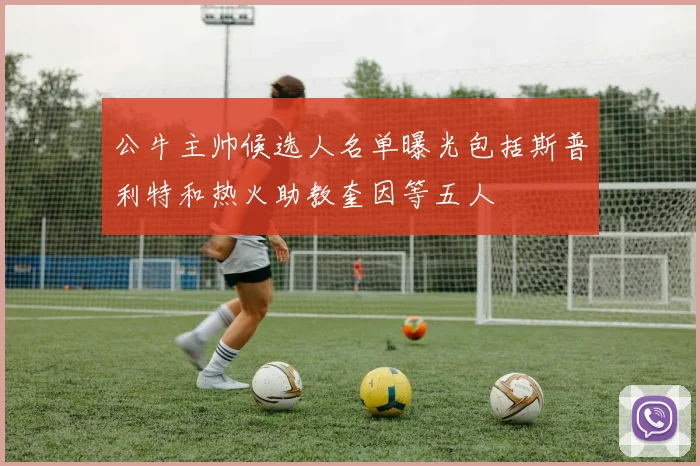 公牛主帅候选人名单曝光包括斯普利特和热火助教奎因等五人